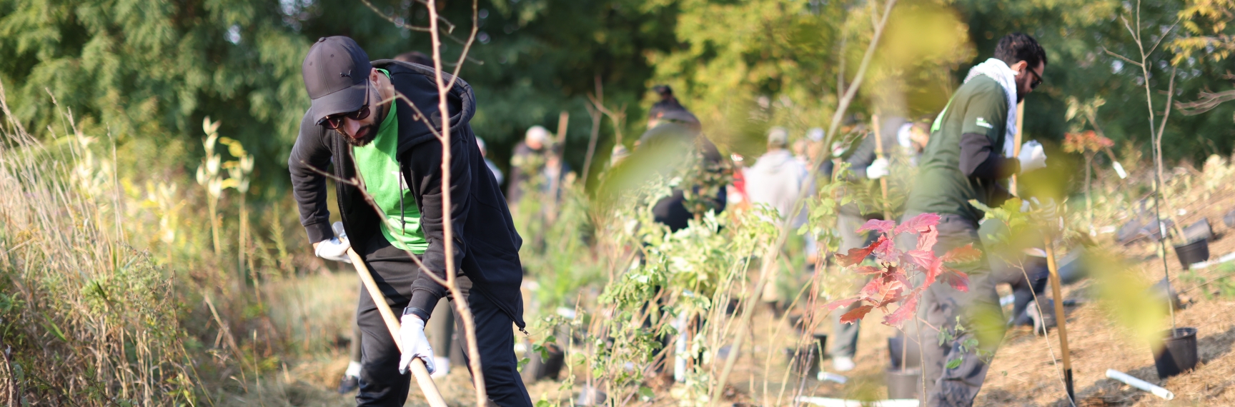 Volunteer digging a hole to plant a tree