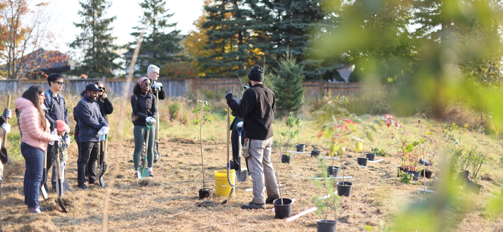 People gathered at a tree planting event